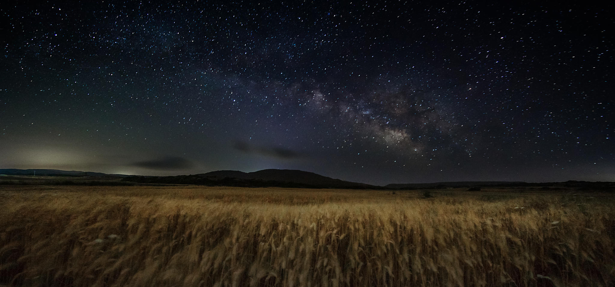 Fields of Gold