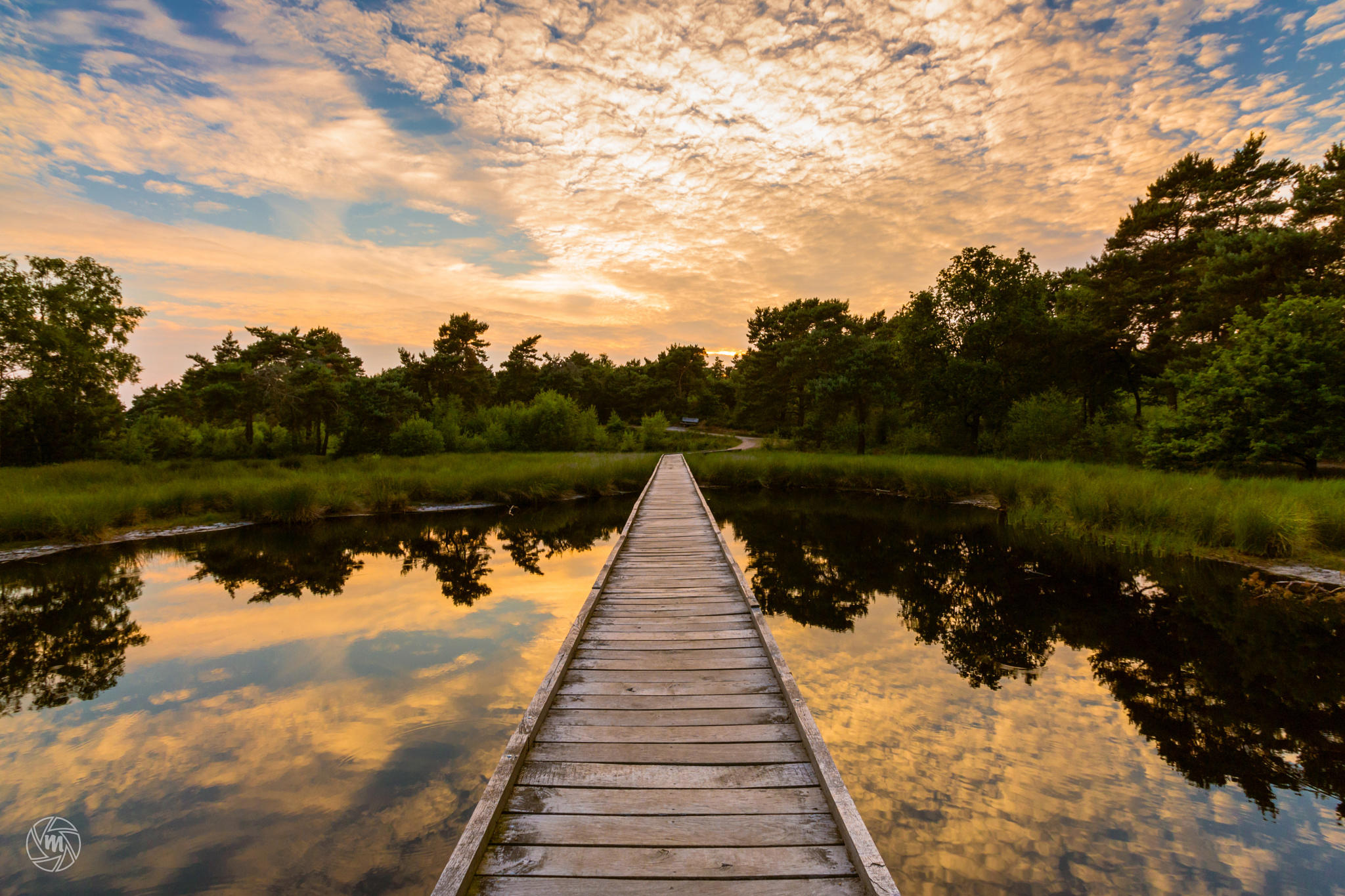 Walkway Reflections