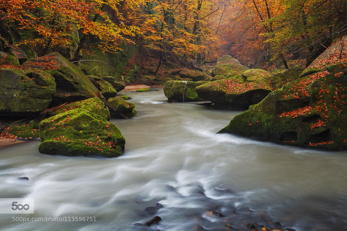 Fall Stream