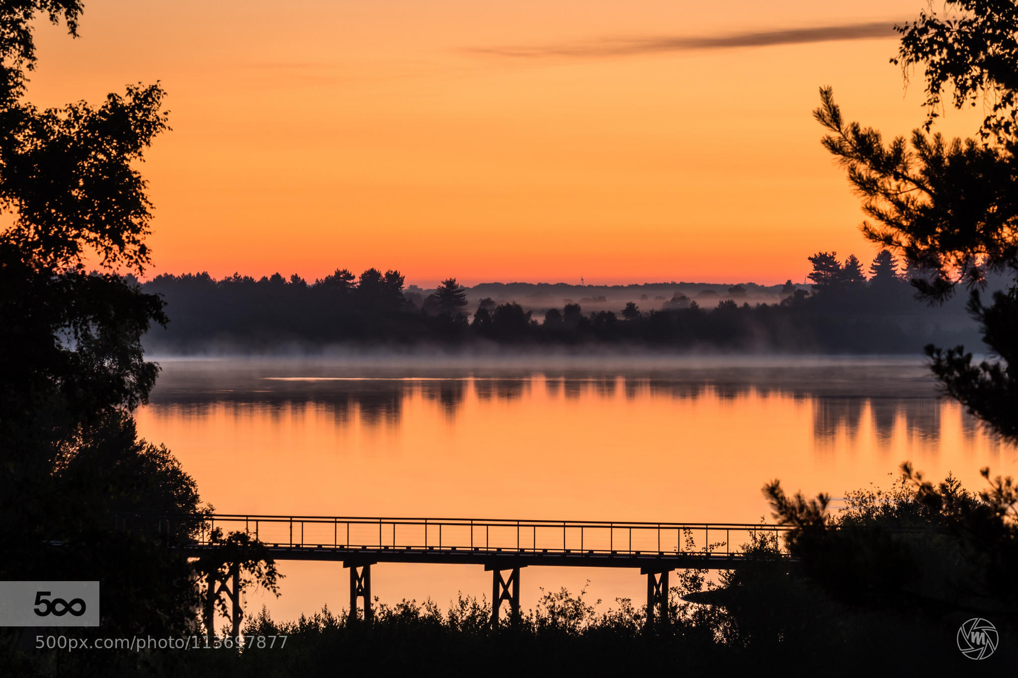 Twilight View