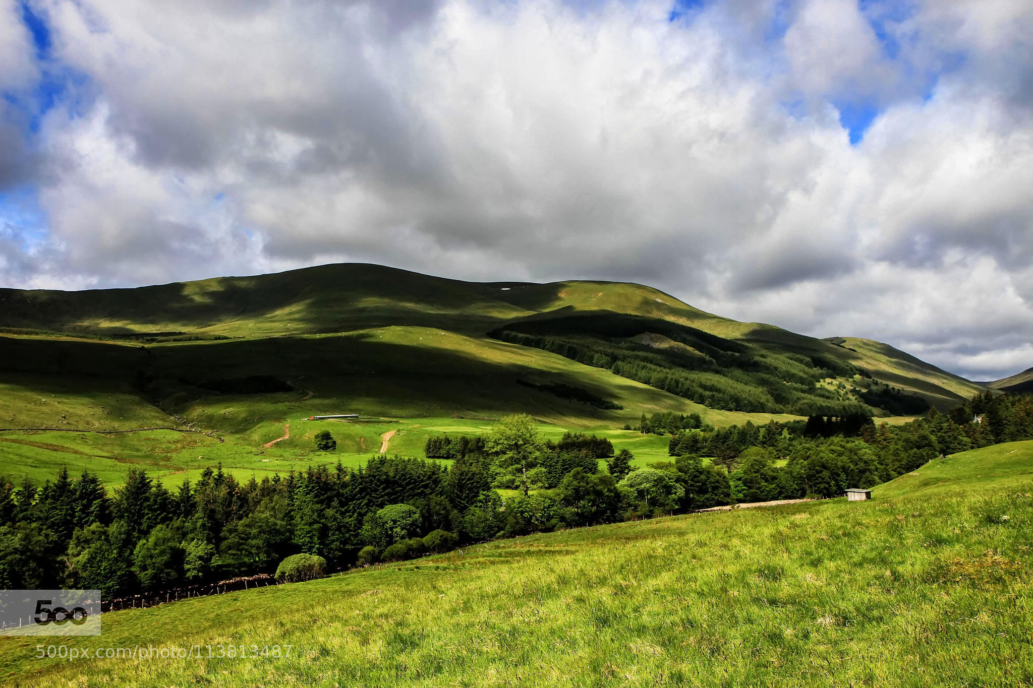 Shadows On The Hills