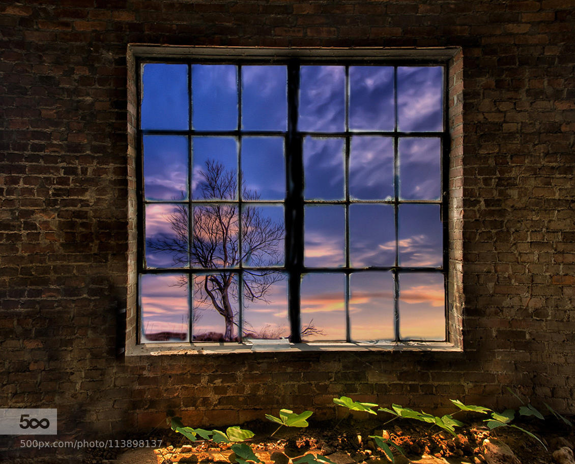 windowscape