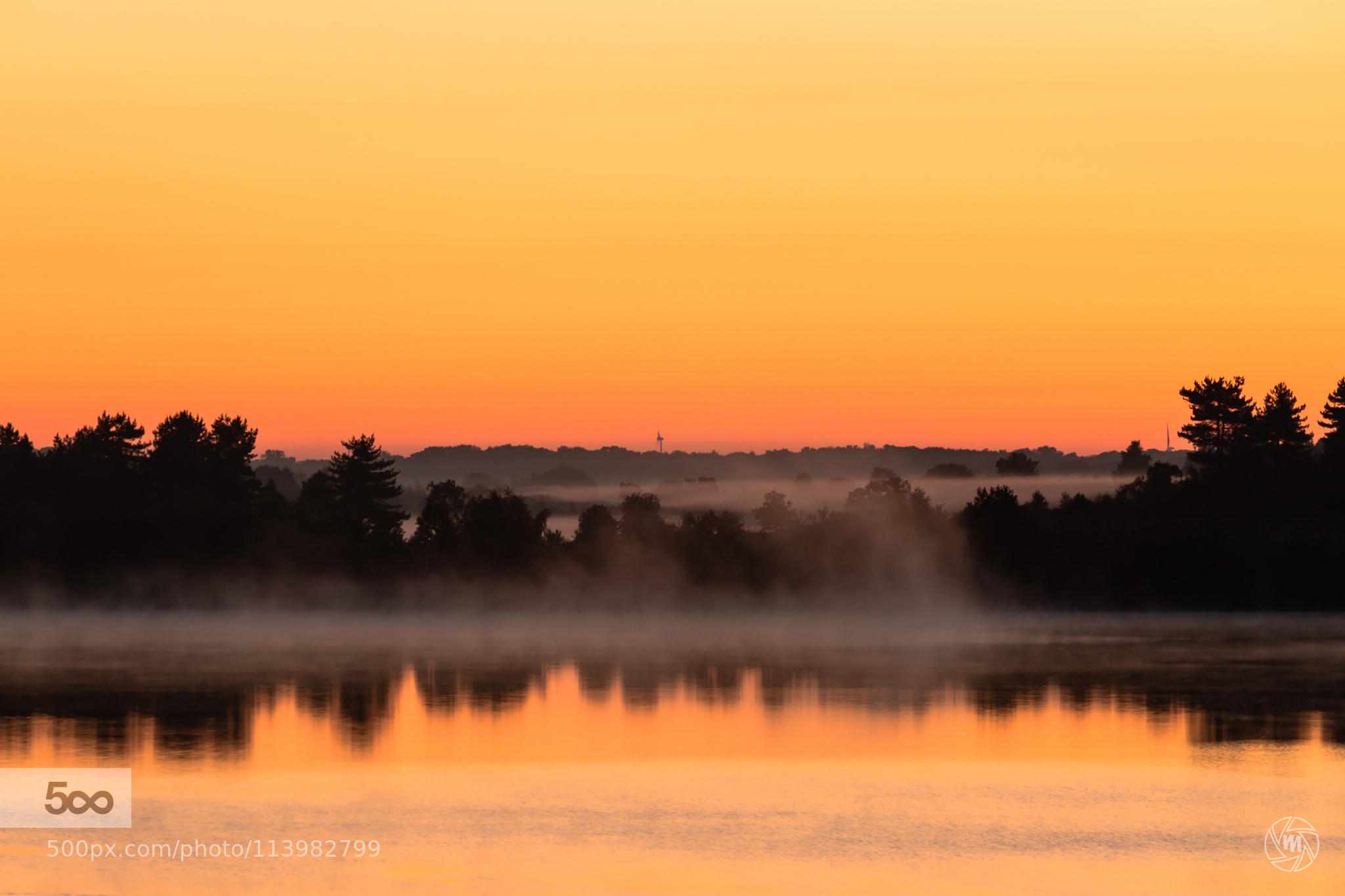 Veil of Fog