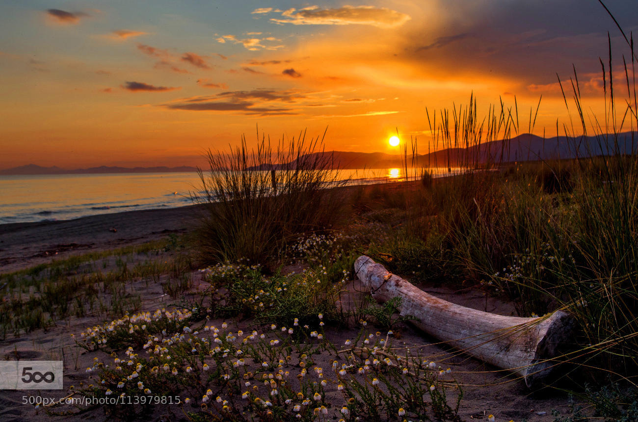 Wild beach