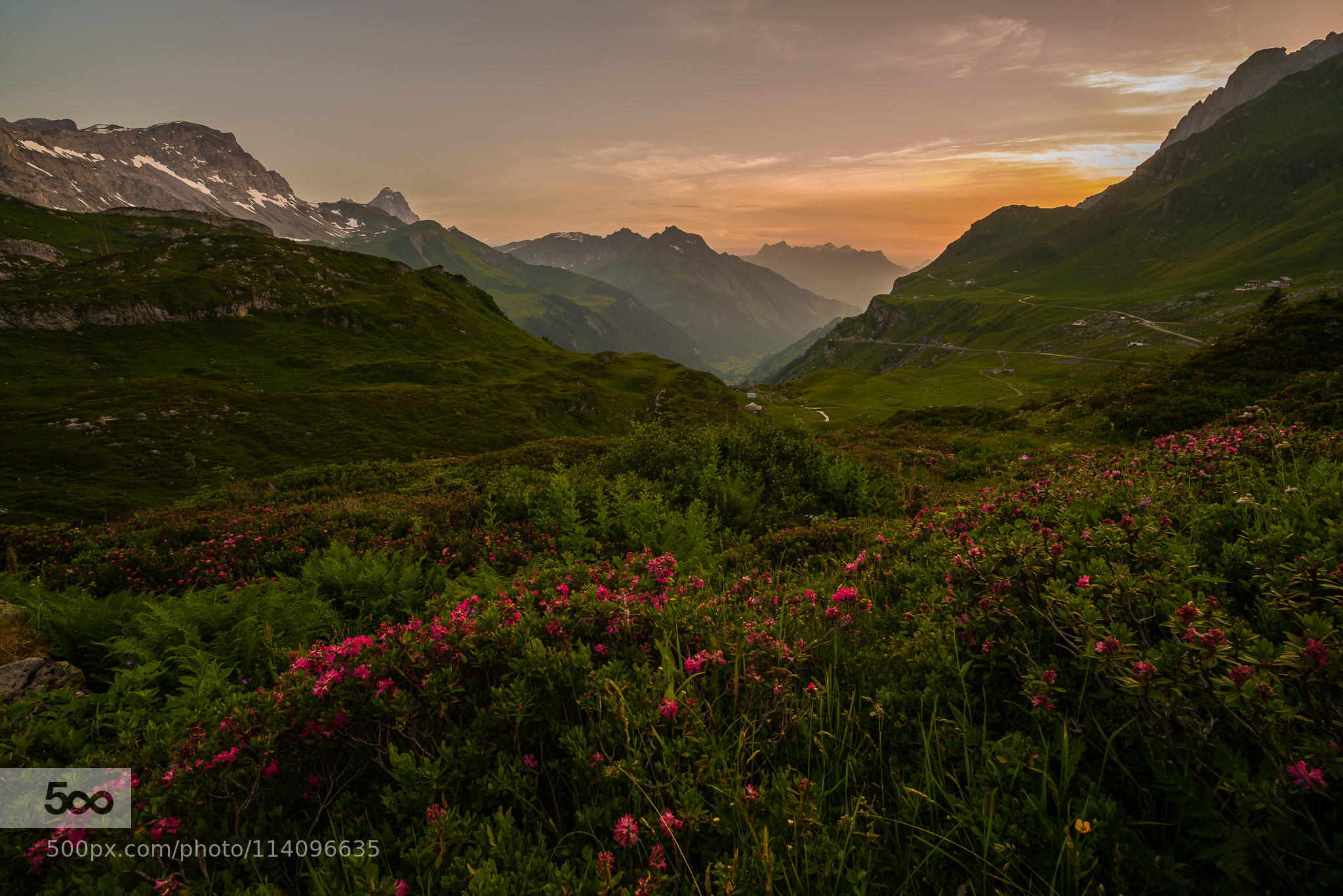 Alpine Wilderness