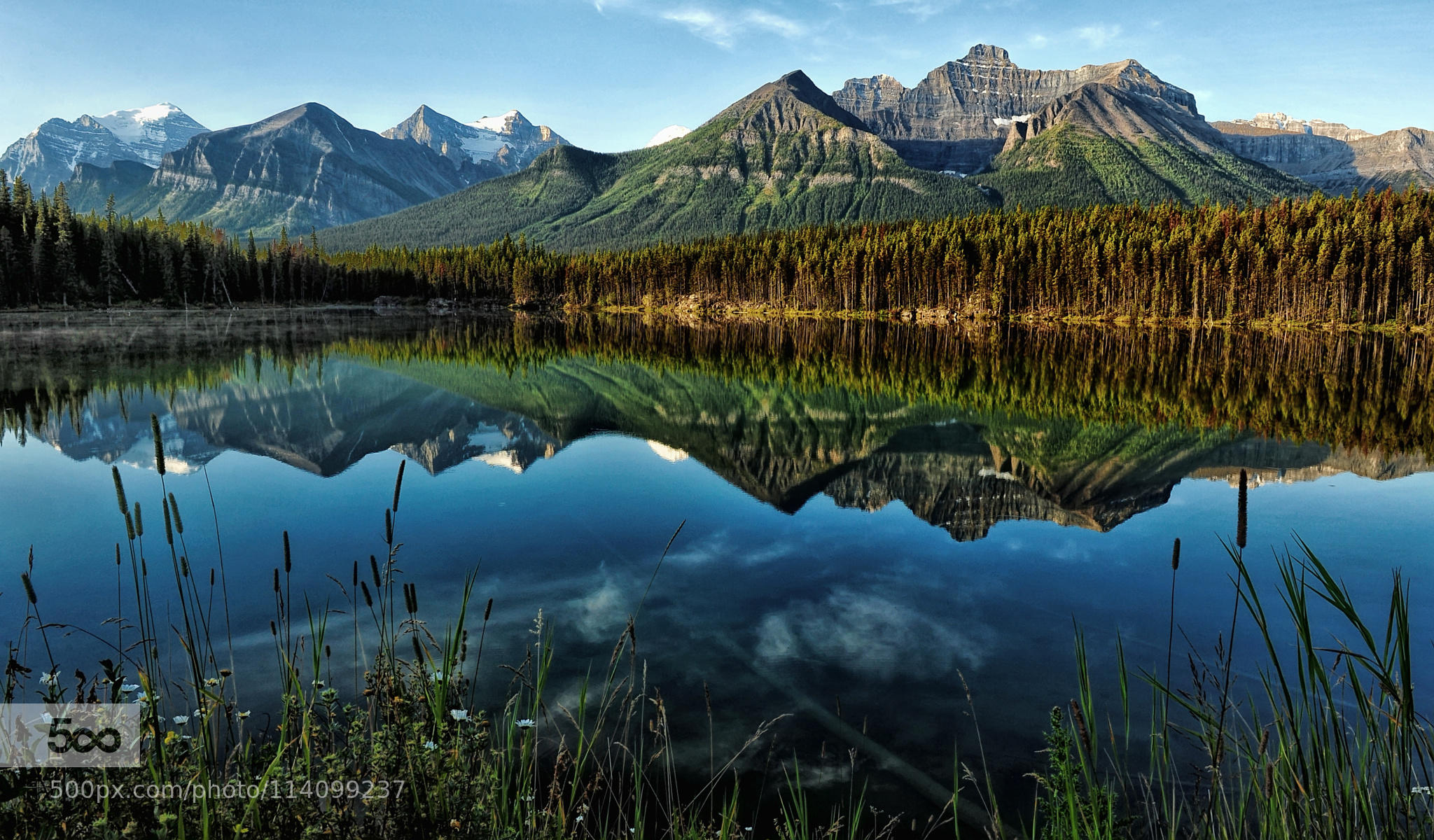 Lake Herbert