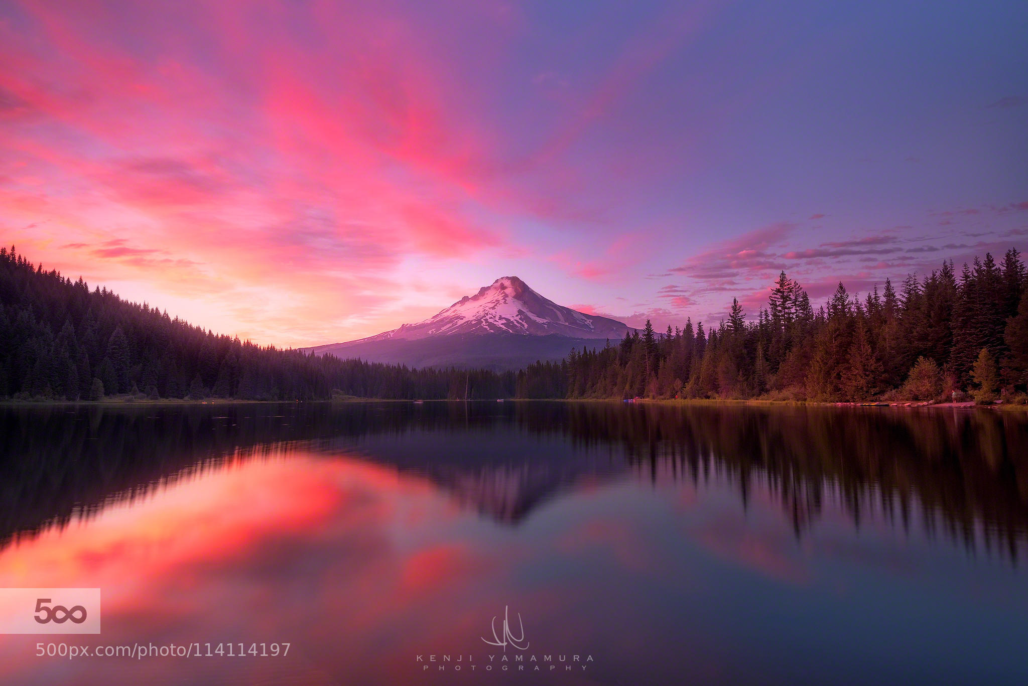 Trillium Sunset