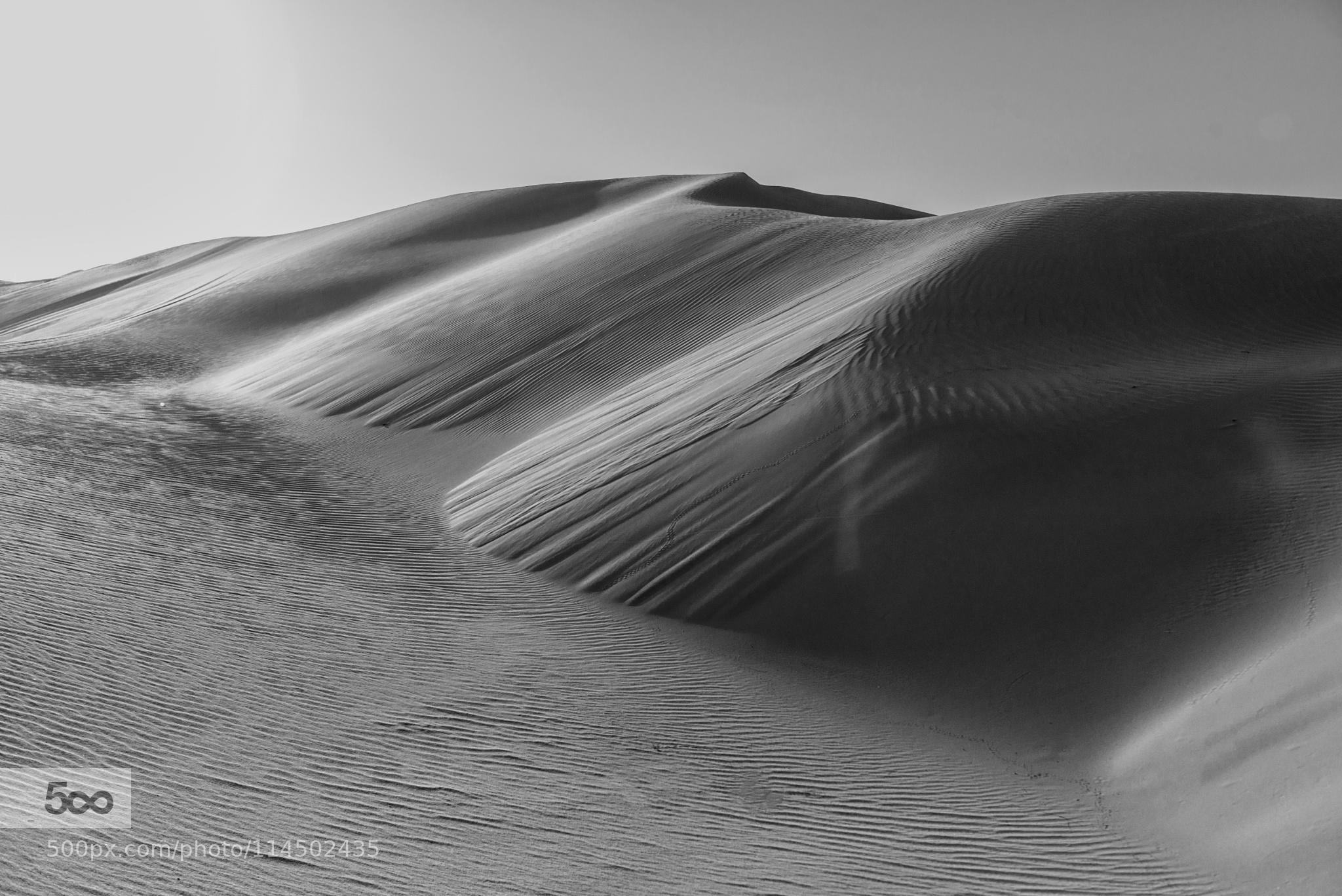 Empty Quarter in Mono