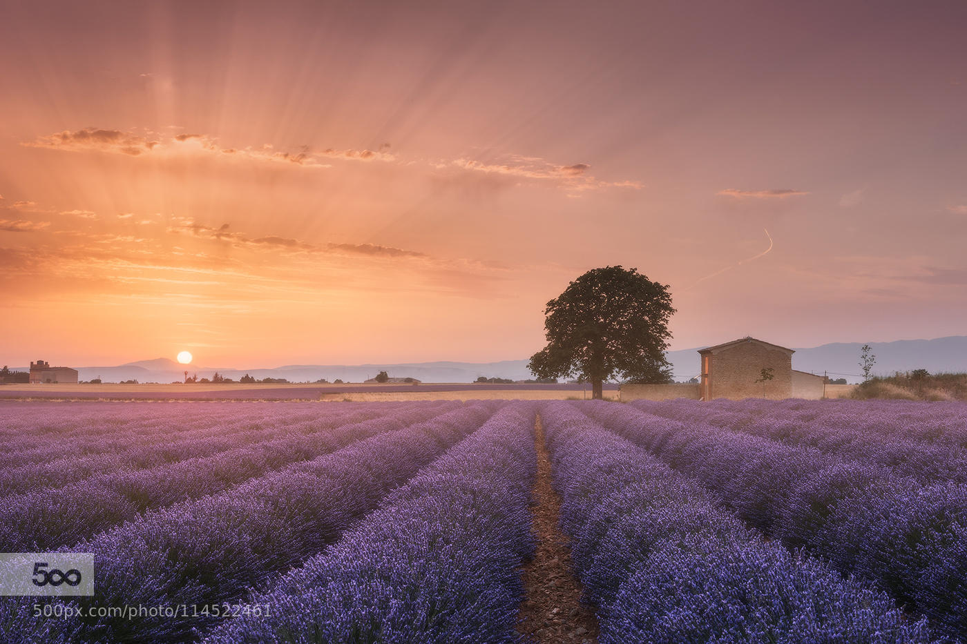 Provence sun