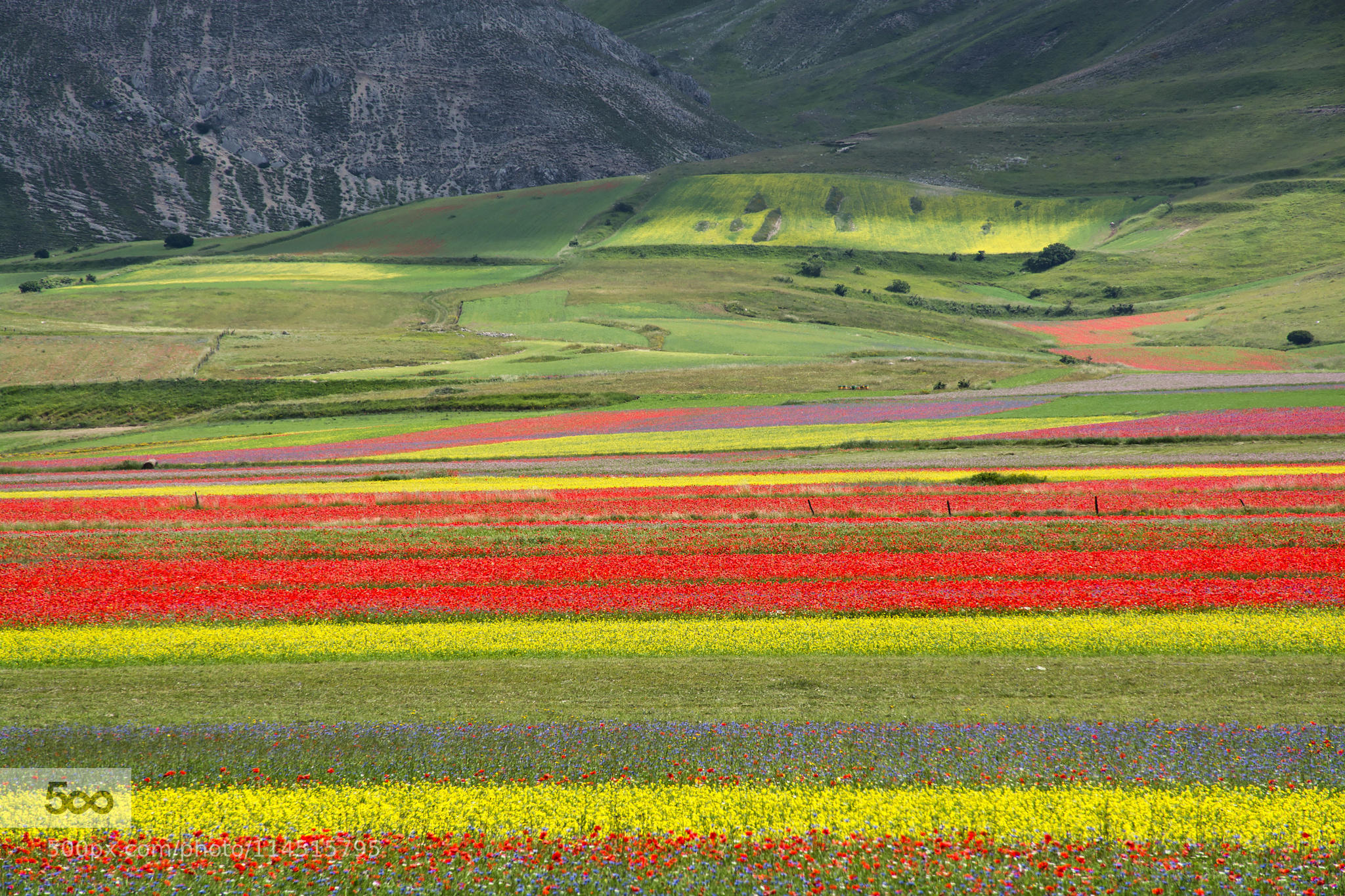 Umbria