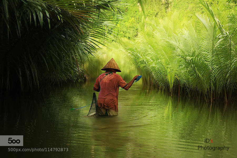 the fisherman