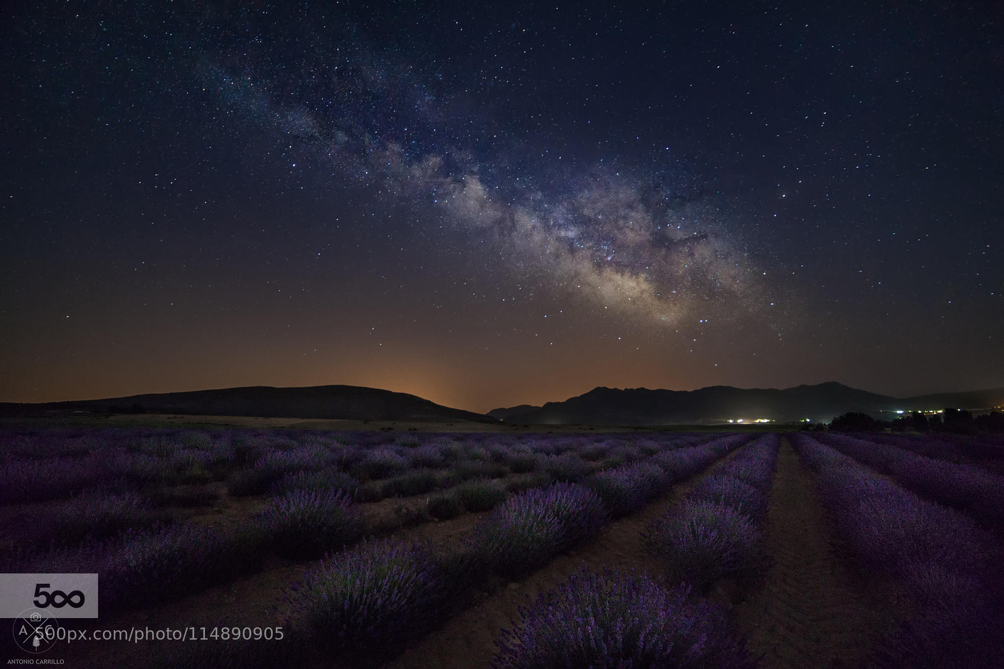 Lavander & Stars