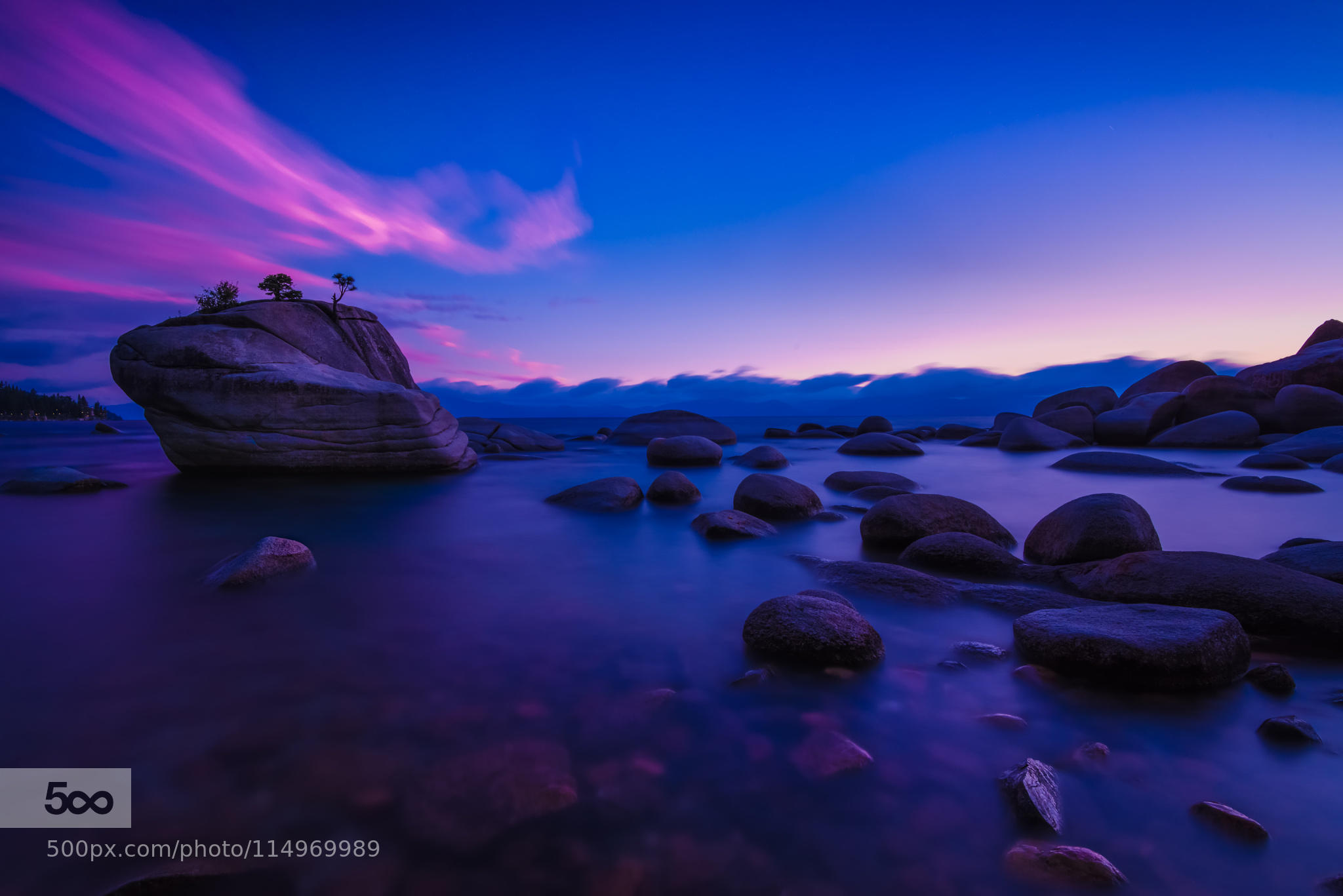 Bonsai Rock