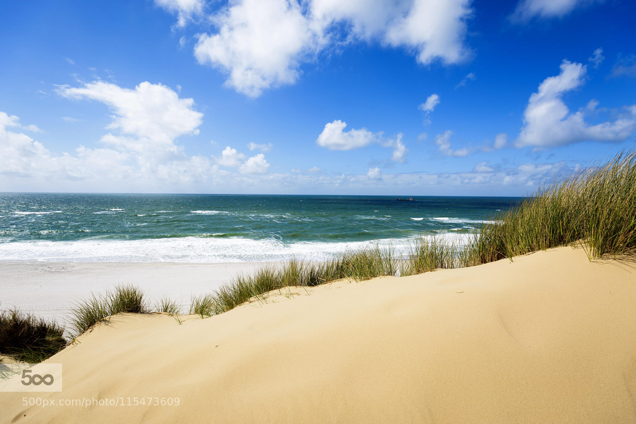 View to the Sea ...