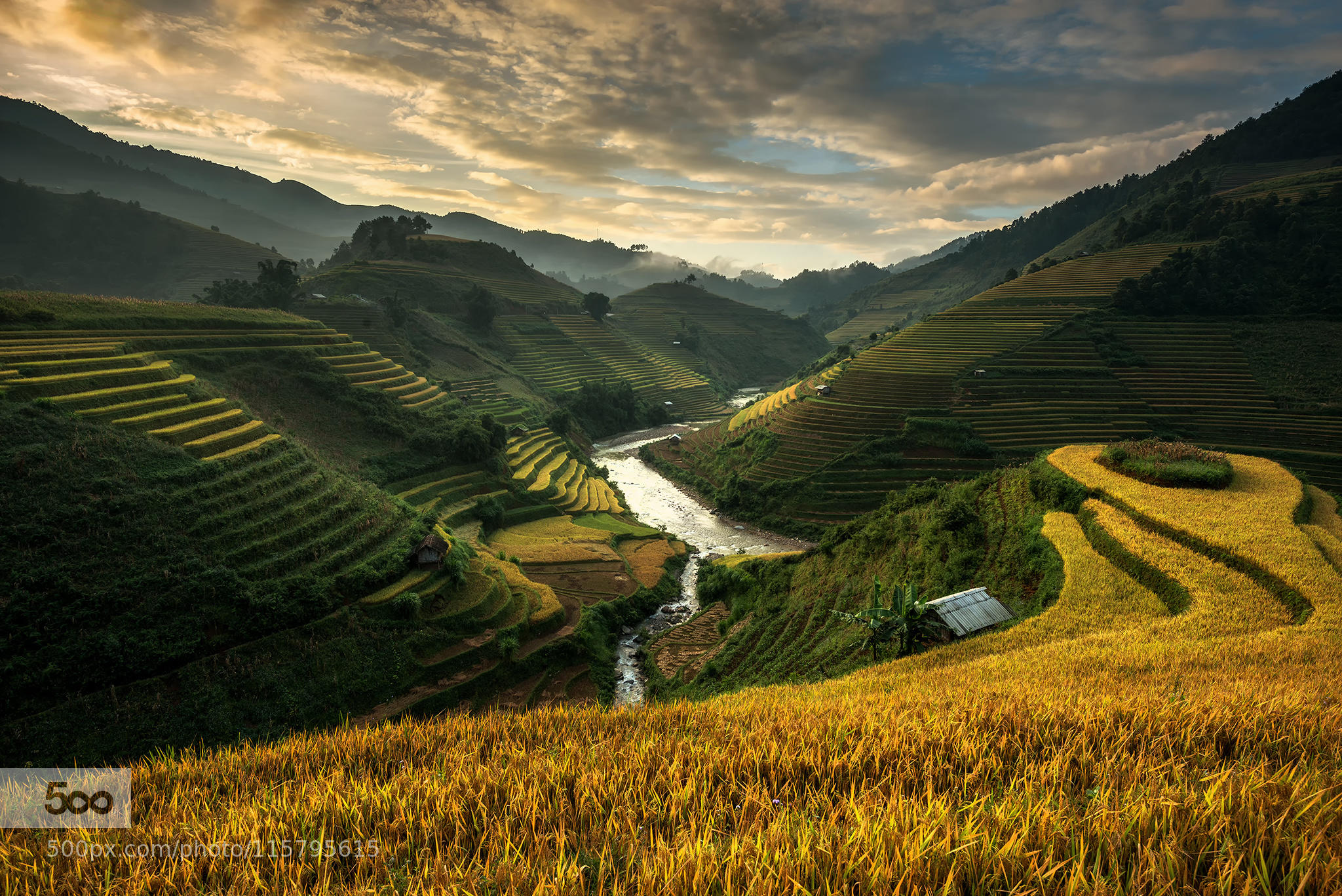 Rice terrace (Mu cang chai , vietnam)