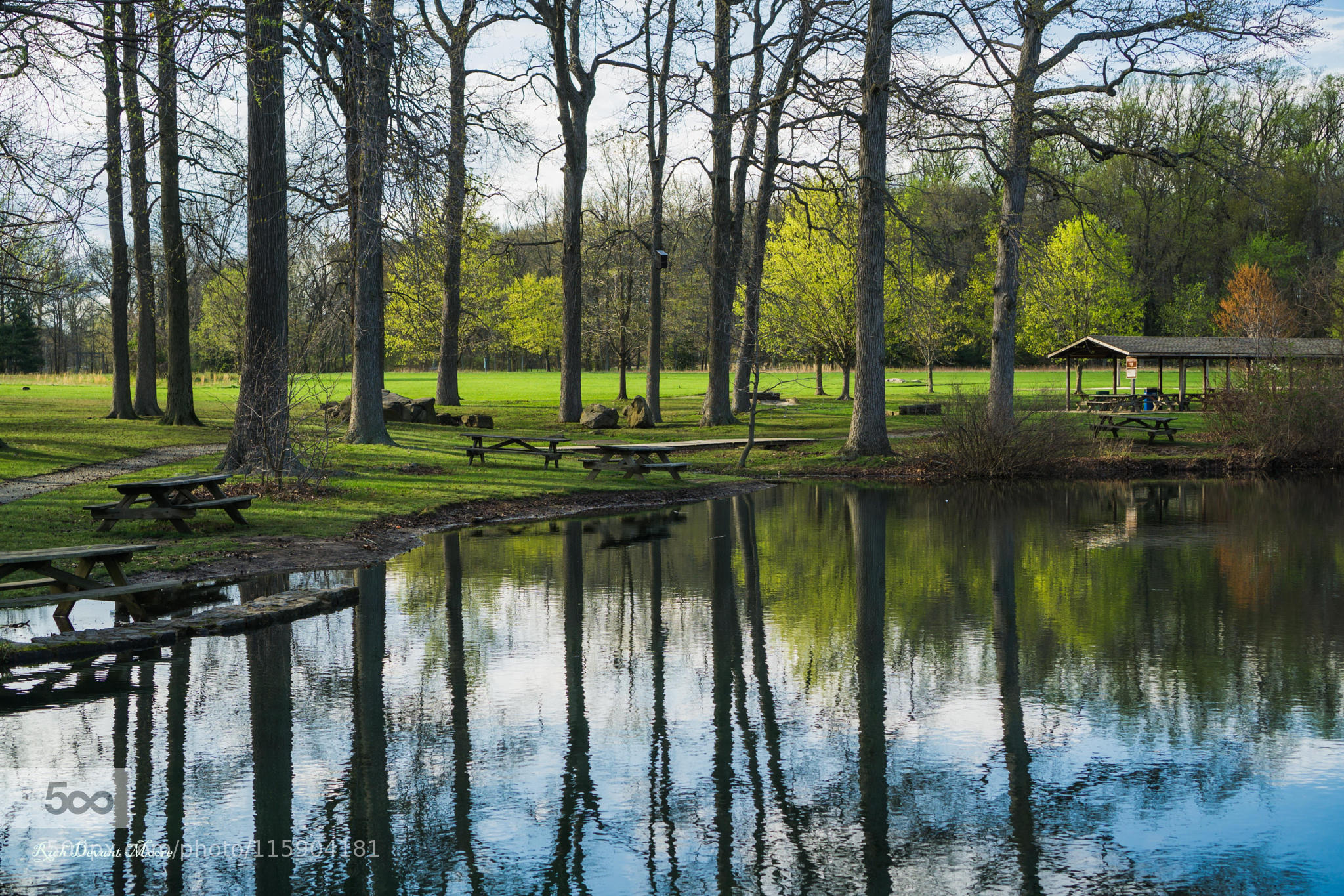 Park Reflections