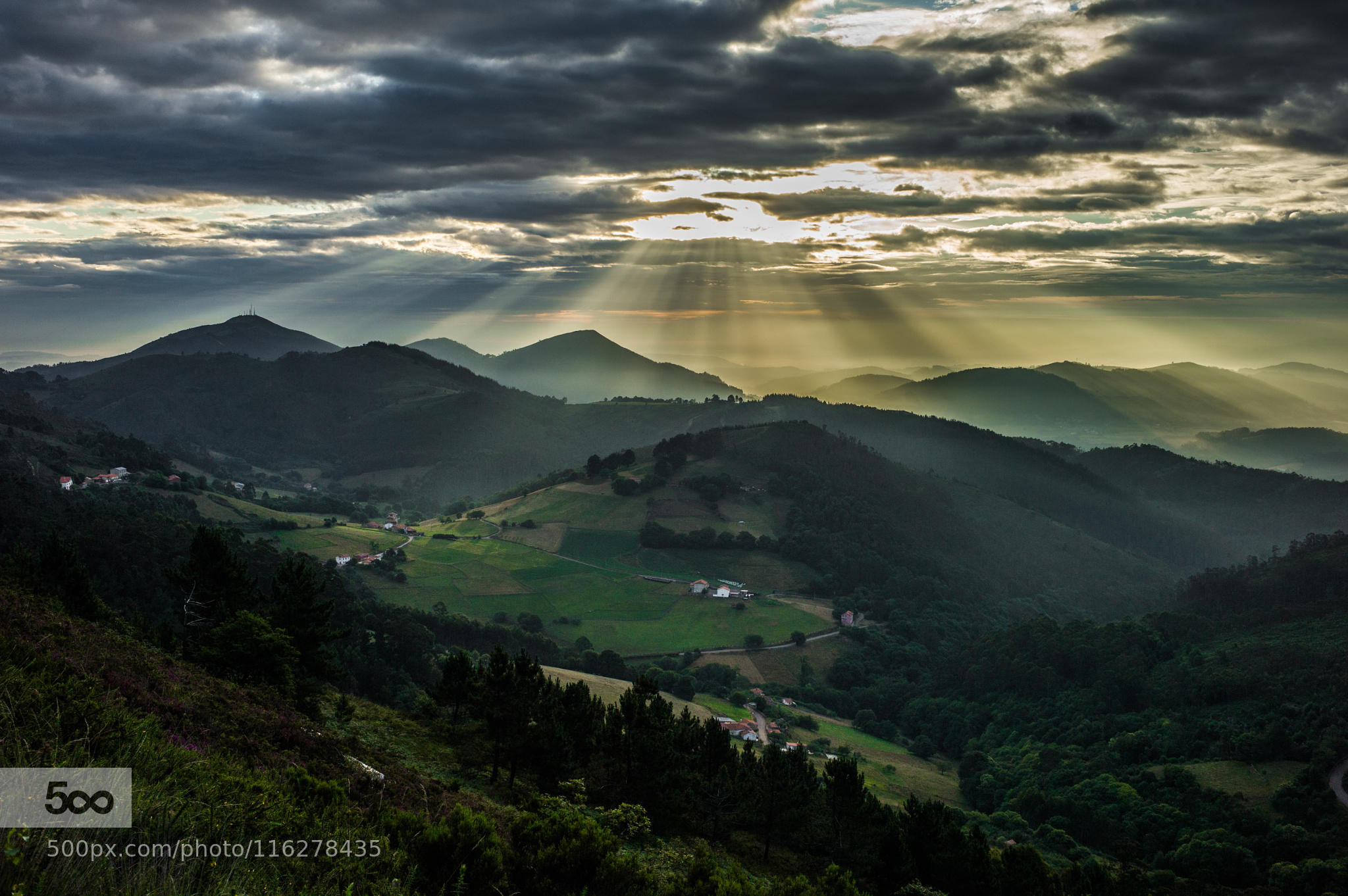 La Braña de Cogollo