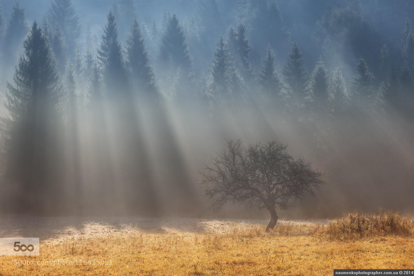 Slovakia. In the High Tatras. Dance in the beams.