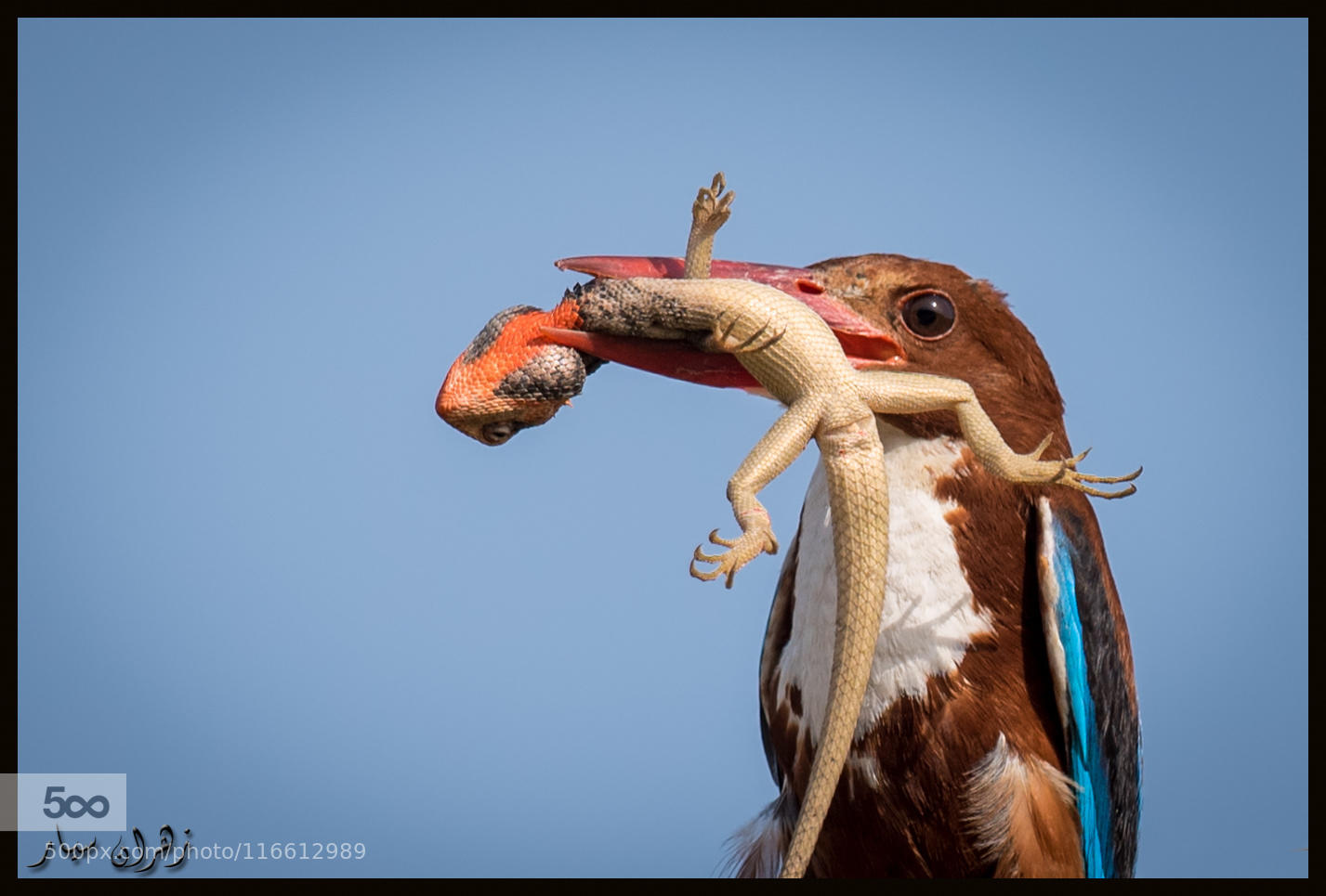 Snack time !