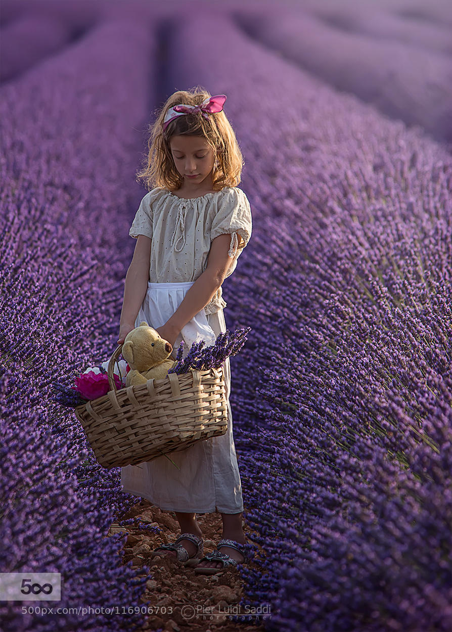 It is harvest time for those who have sown