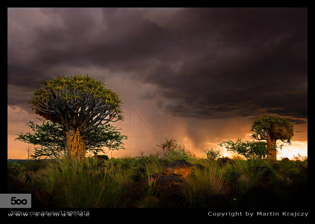 Namibian Magic