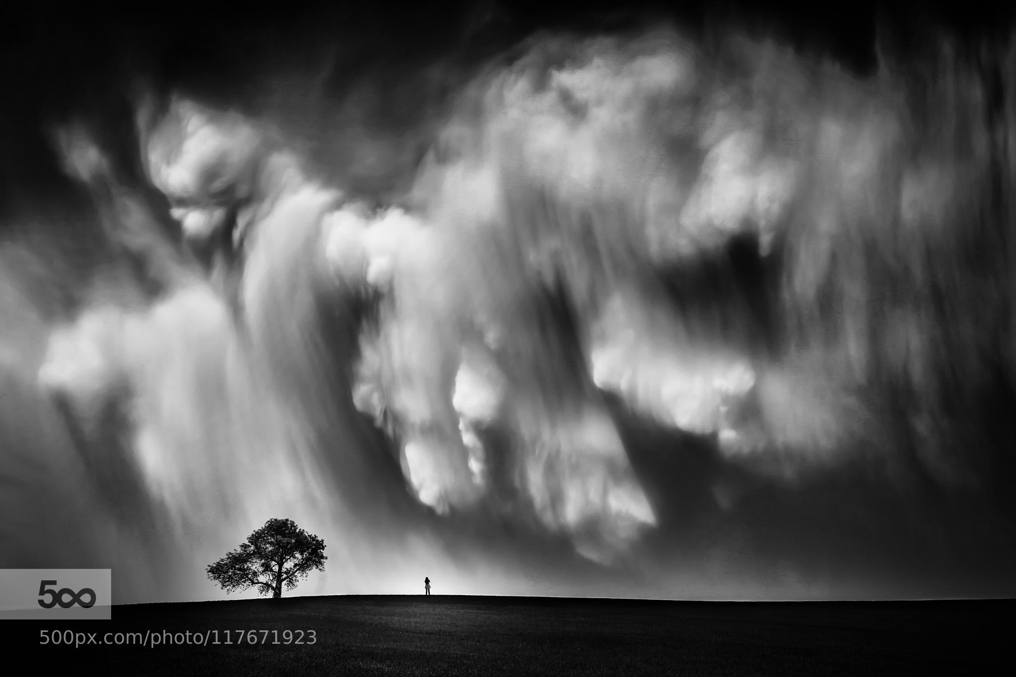 Storm Chaser-B&W
