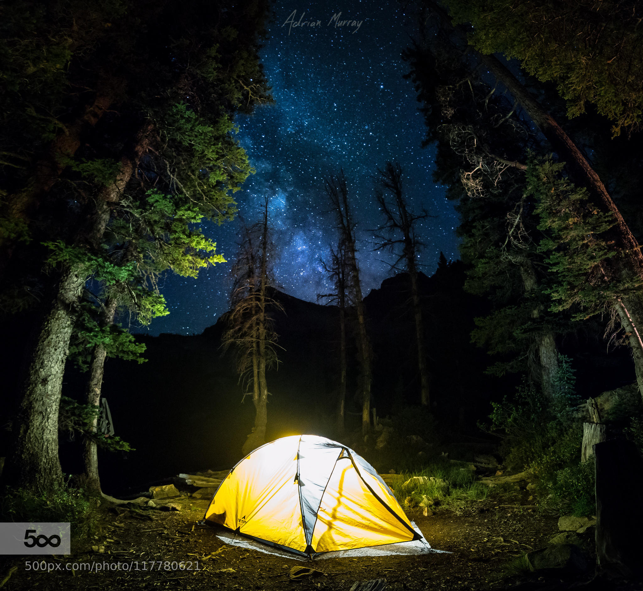 Camping light. Палатка в лесу. Палатка в лесу ночью. Туристическая палатка на природе. Поход с палатками.