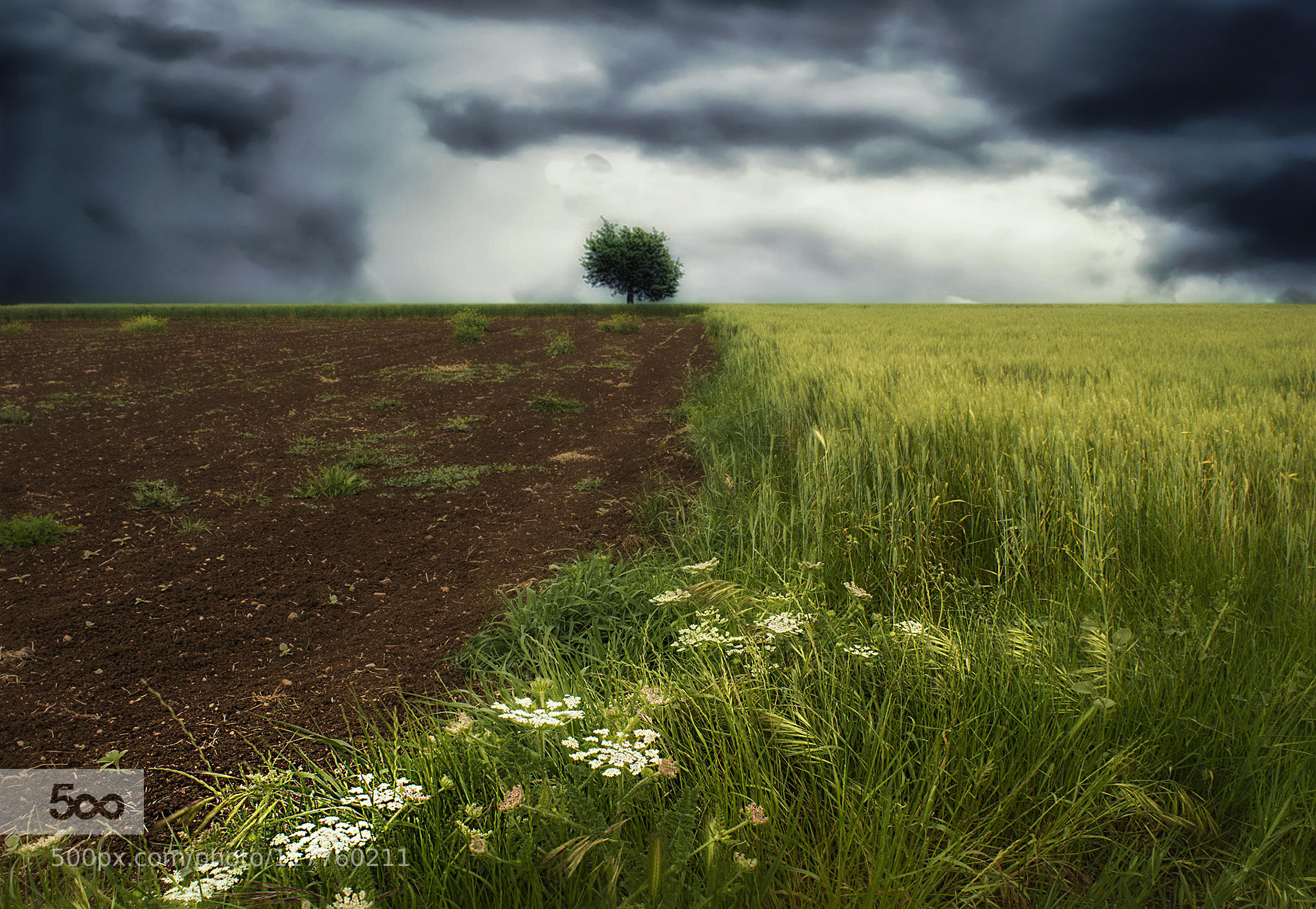 Waiting for the Storm