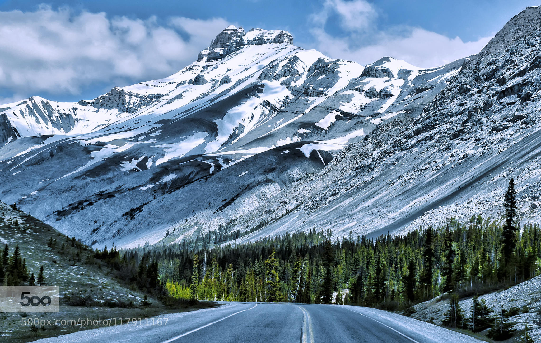 Banff Road Trip