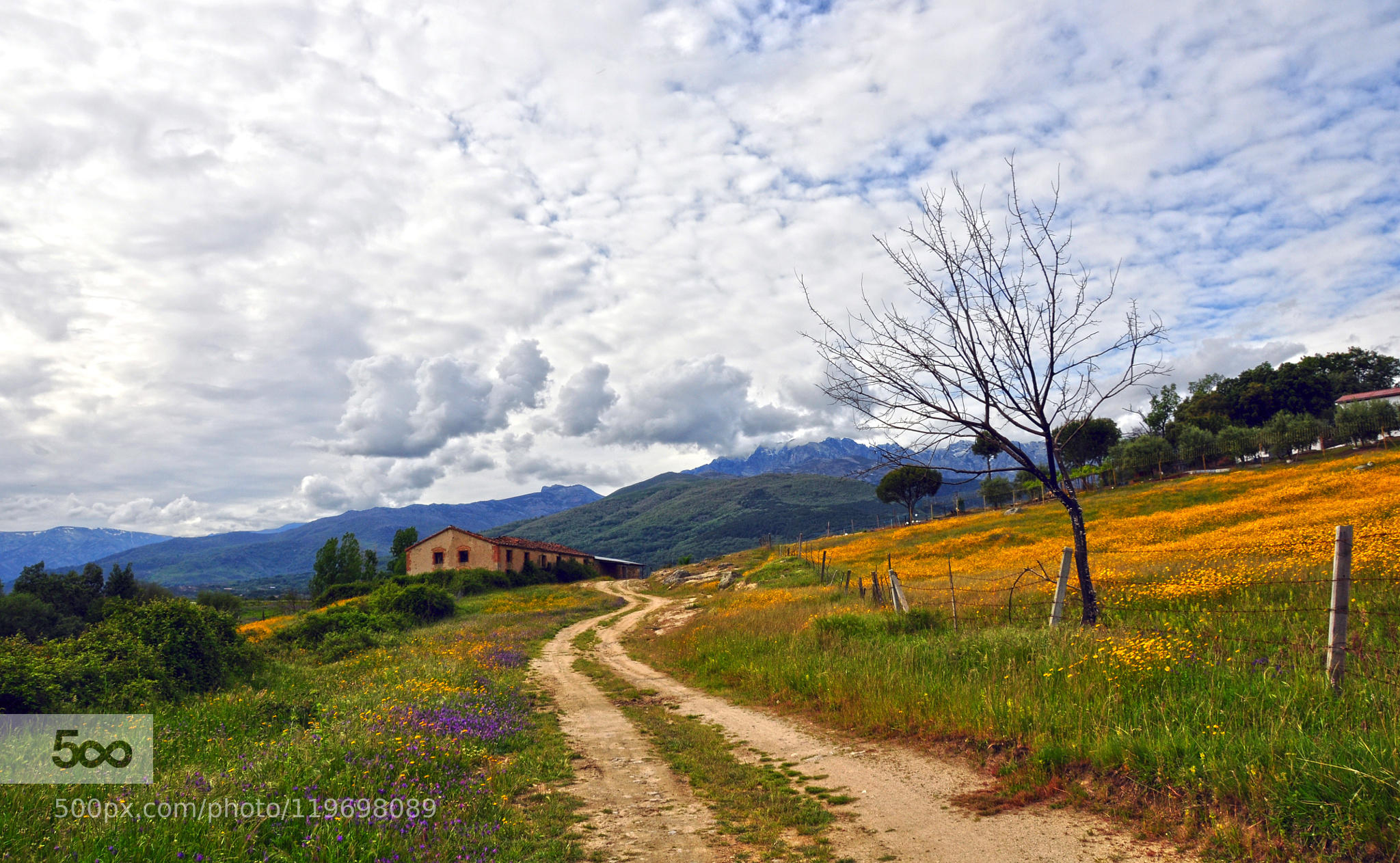 camino a Gredos