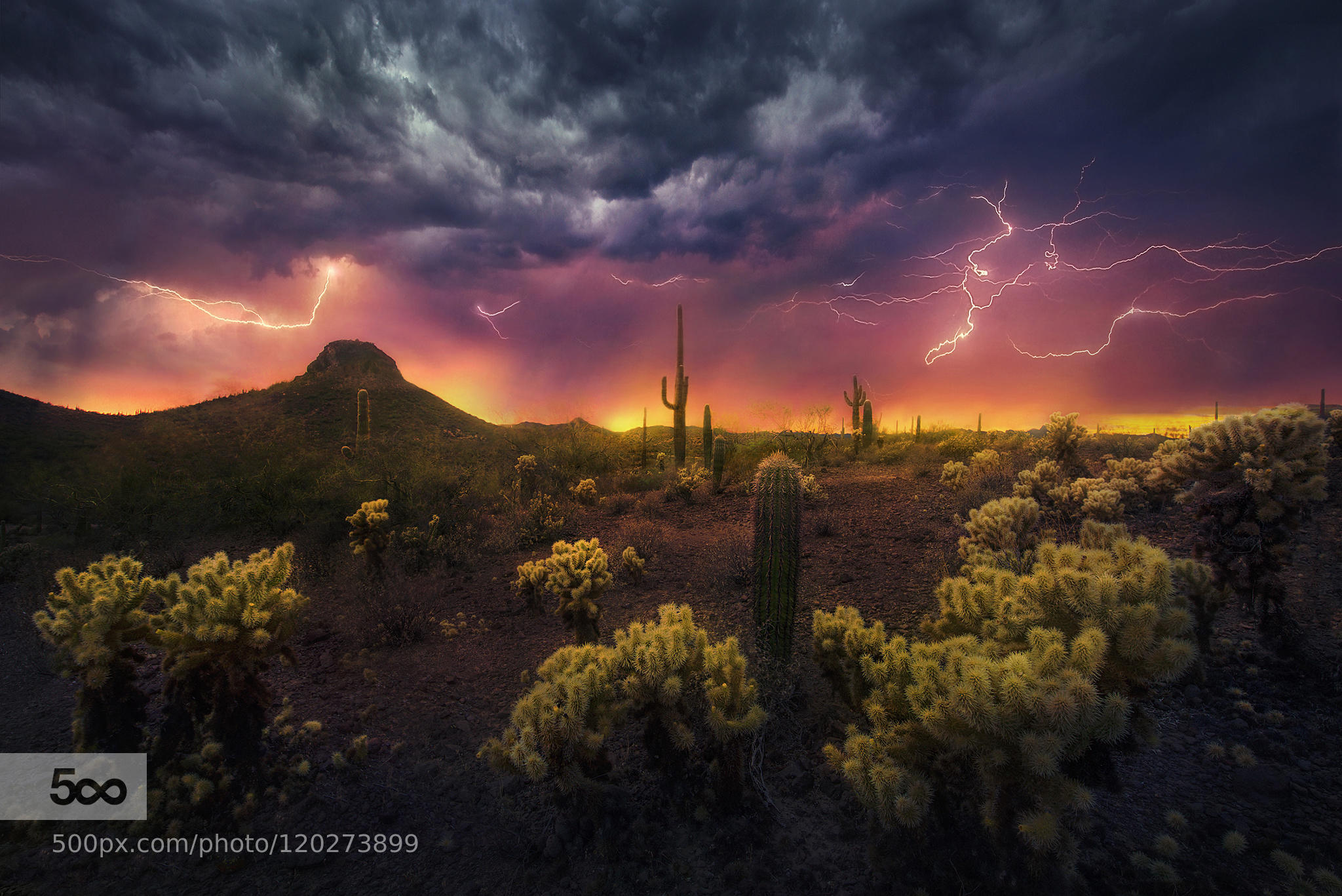 Desert Fireworks