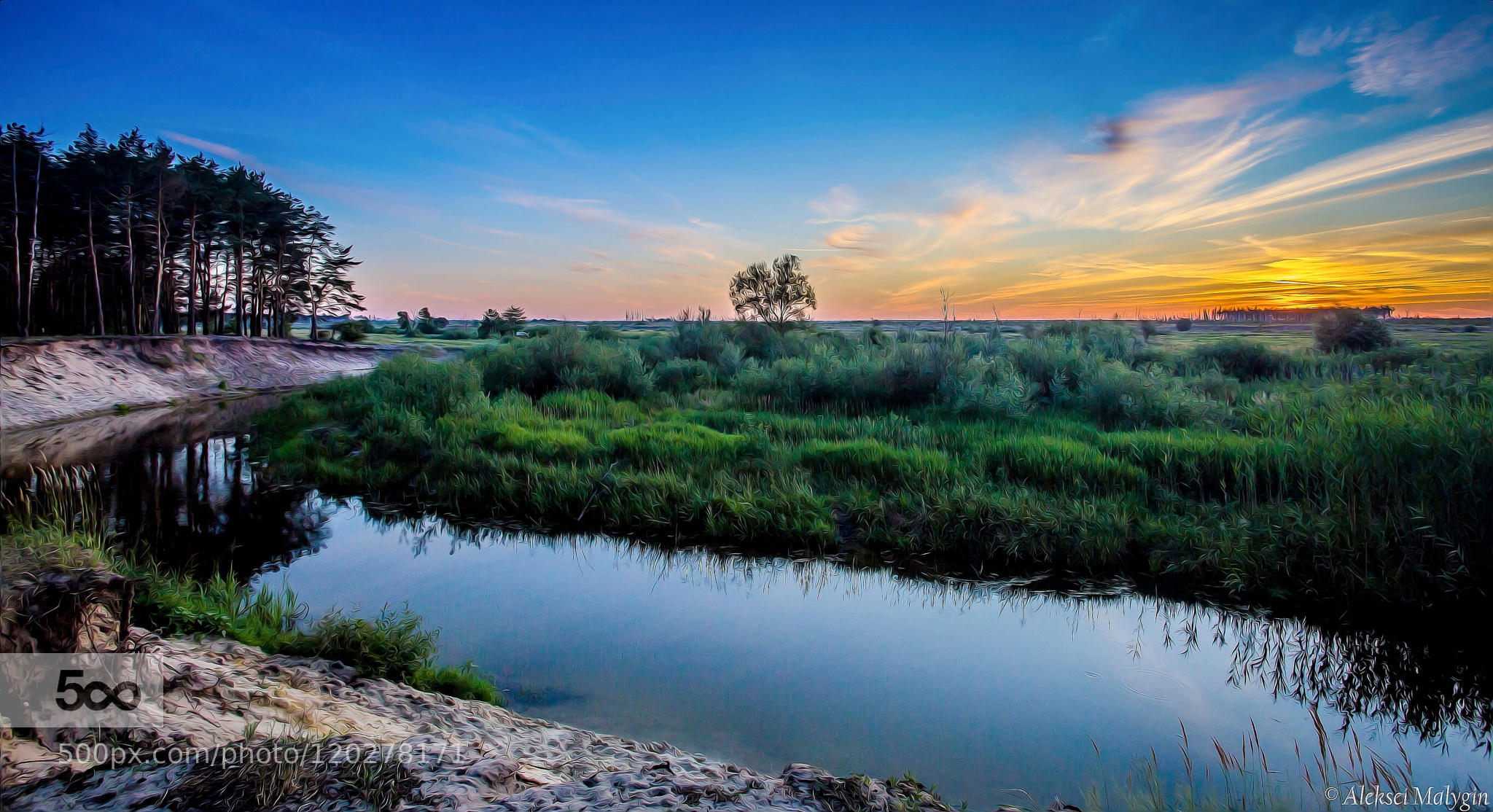 A beauty of golden hour...