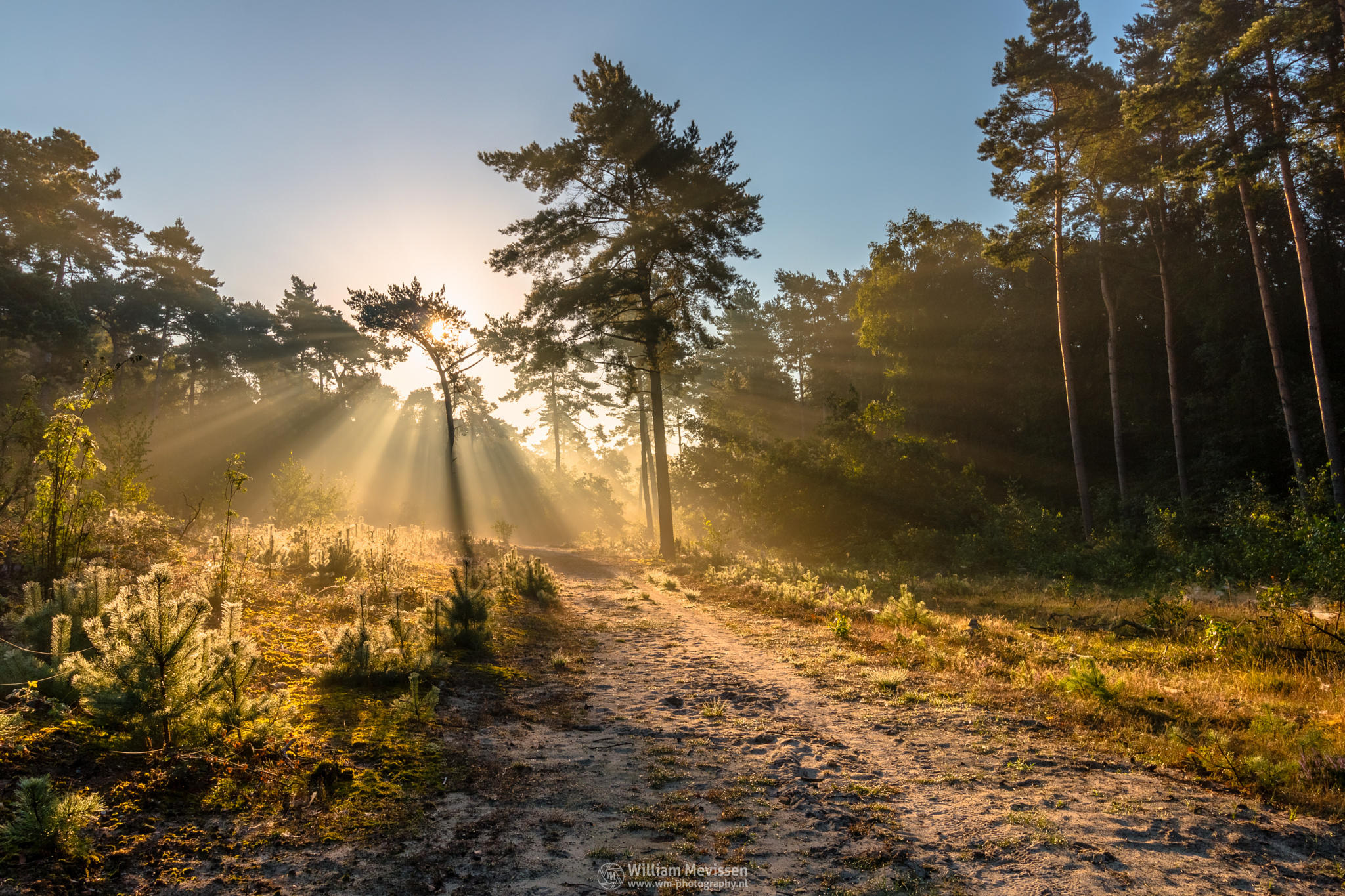 Path of Light