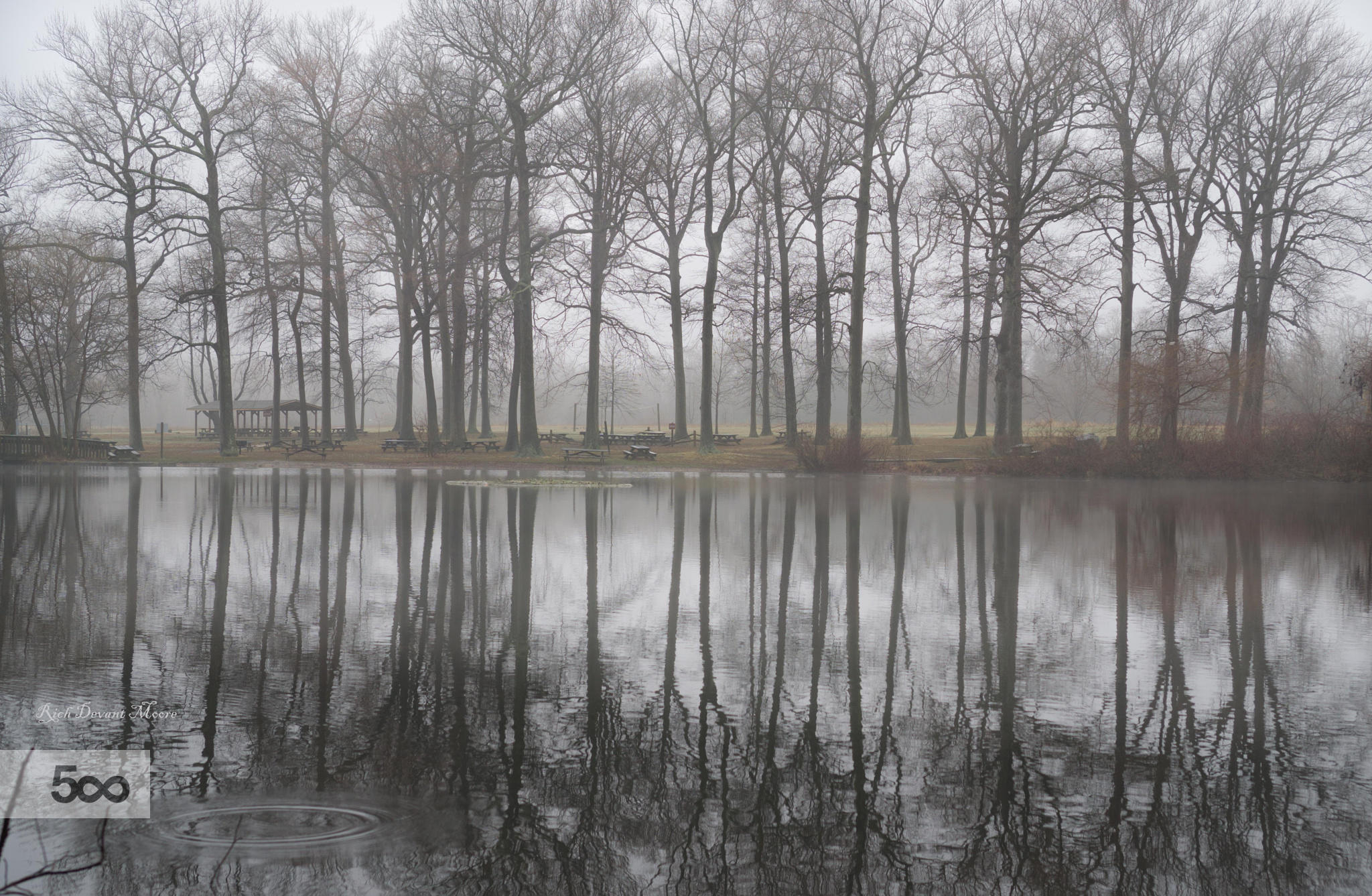 Foggy Reflections