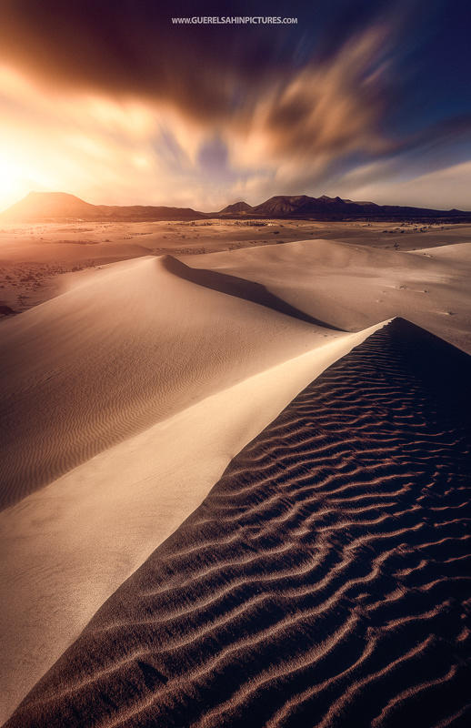 Golden Dunes