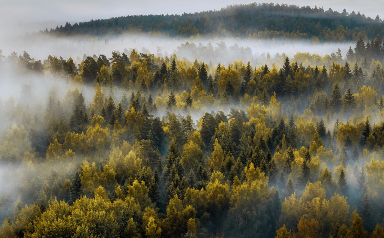 Autumn Morning