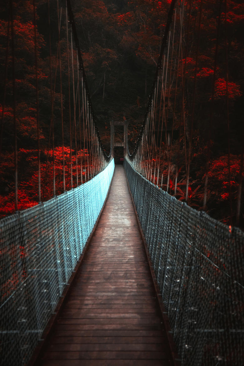 Dark suspension bridge