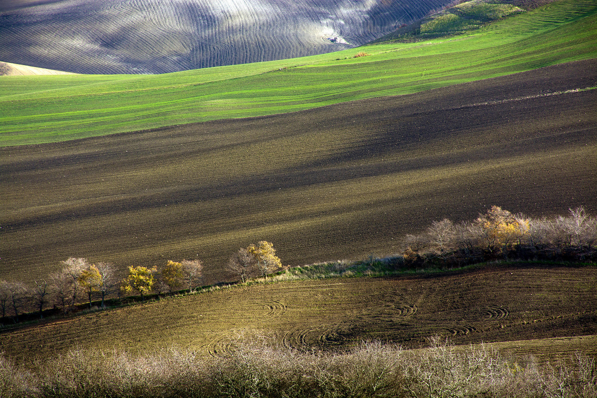 Basilicata 3