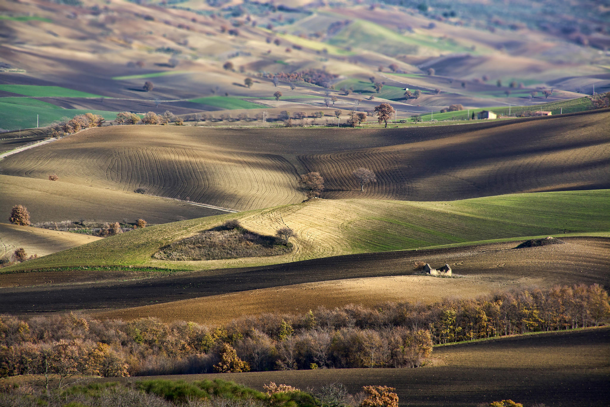 Basilicata 5