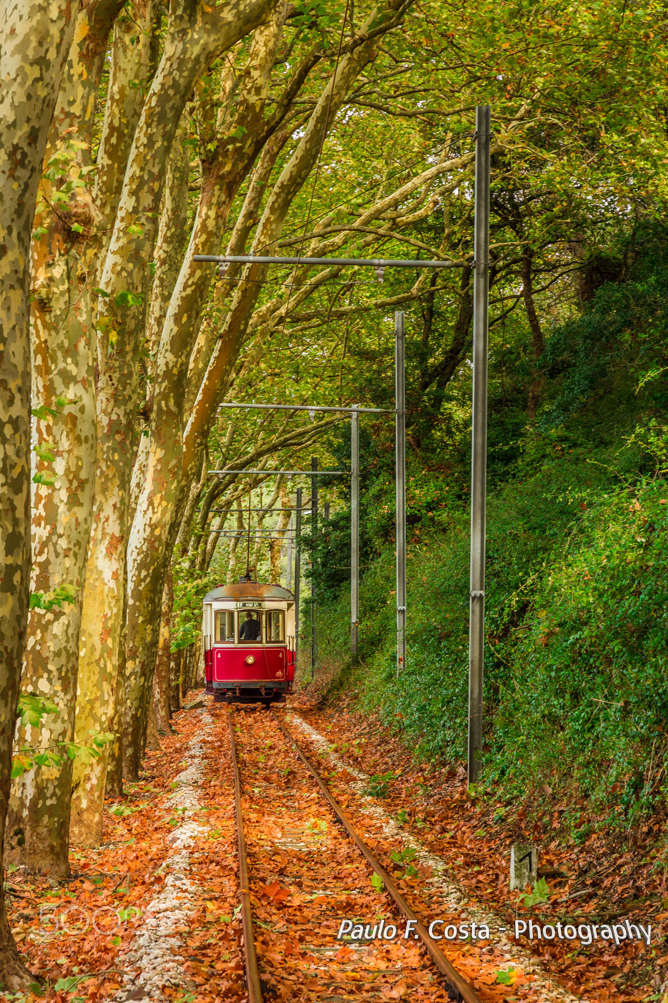 Fall Tram