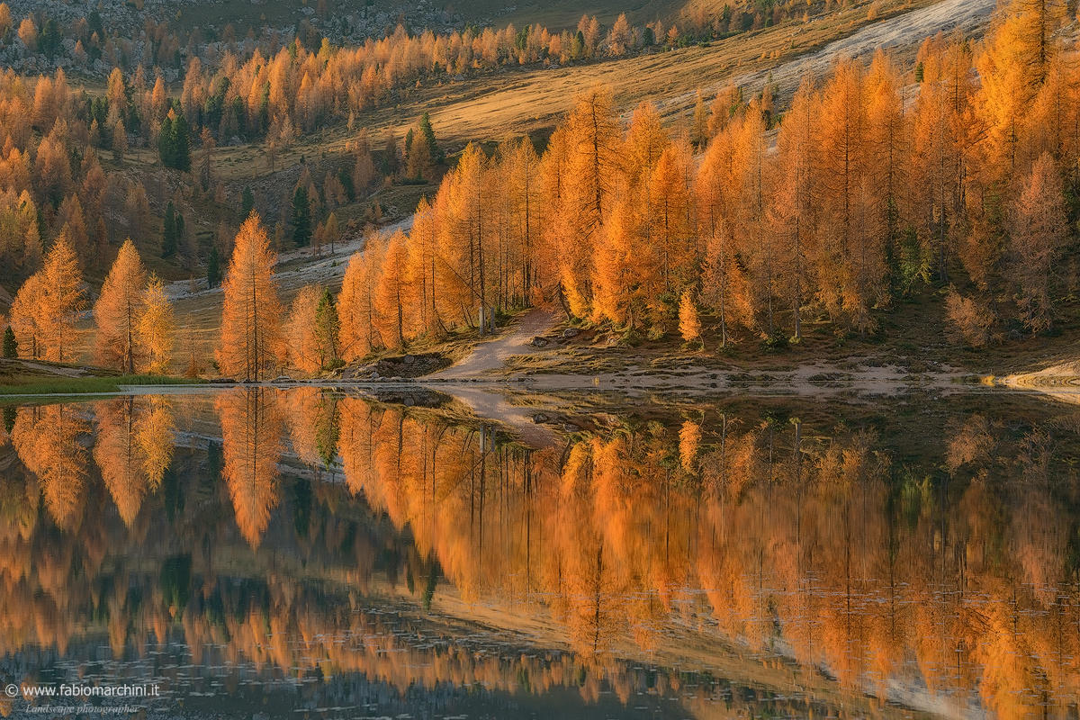 Autumn symphony