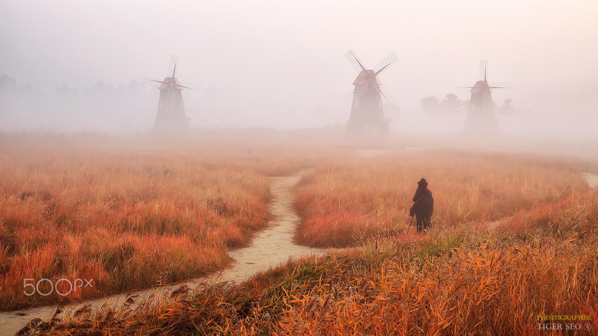 Woman in the mist