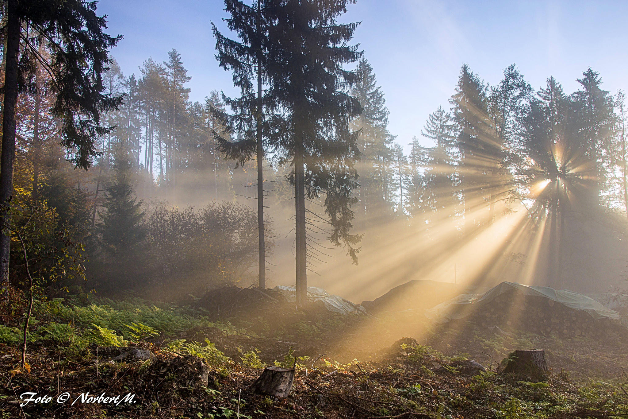 .....erste Sonnenstrahlen