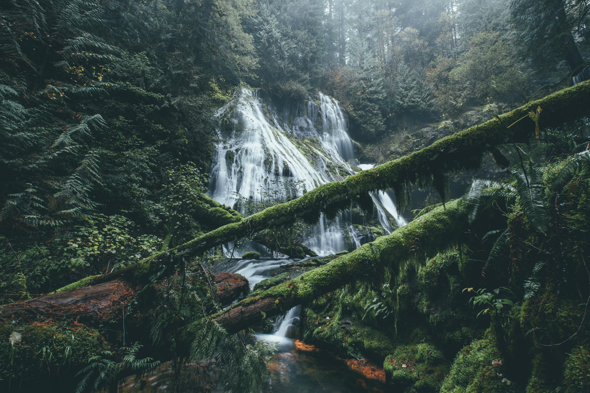 Panther Creek Falls