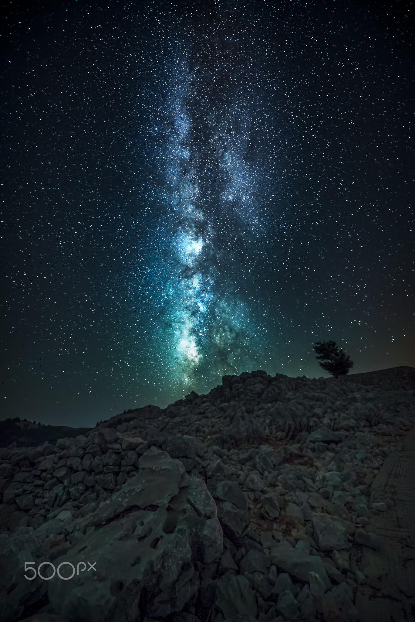 Milky Way Trees