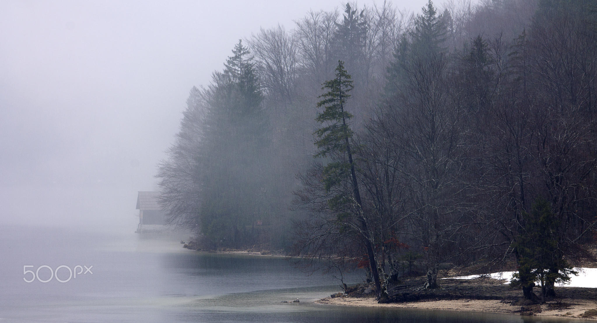 Lake Bohinj