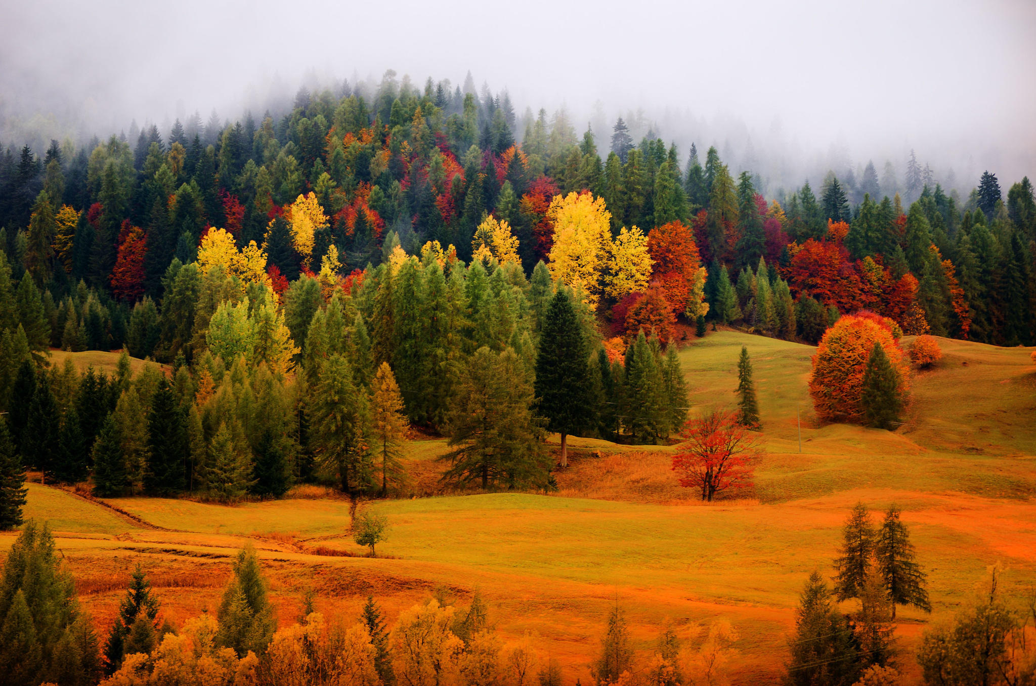 Dolomities