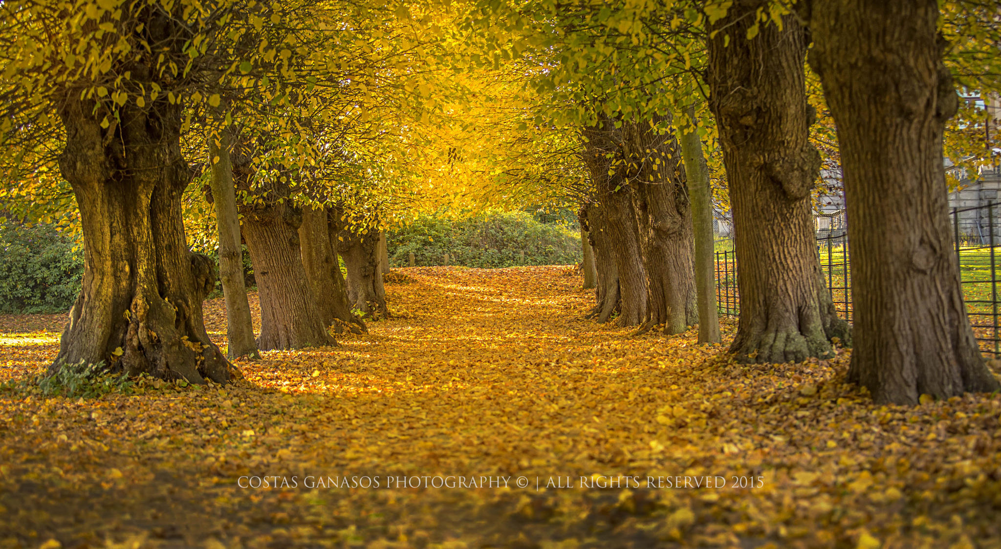 Beautiful autumn