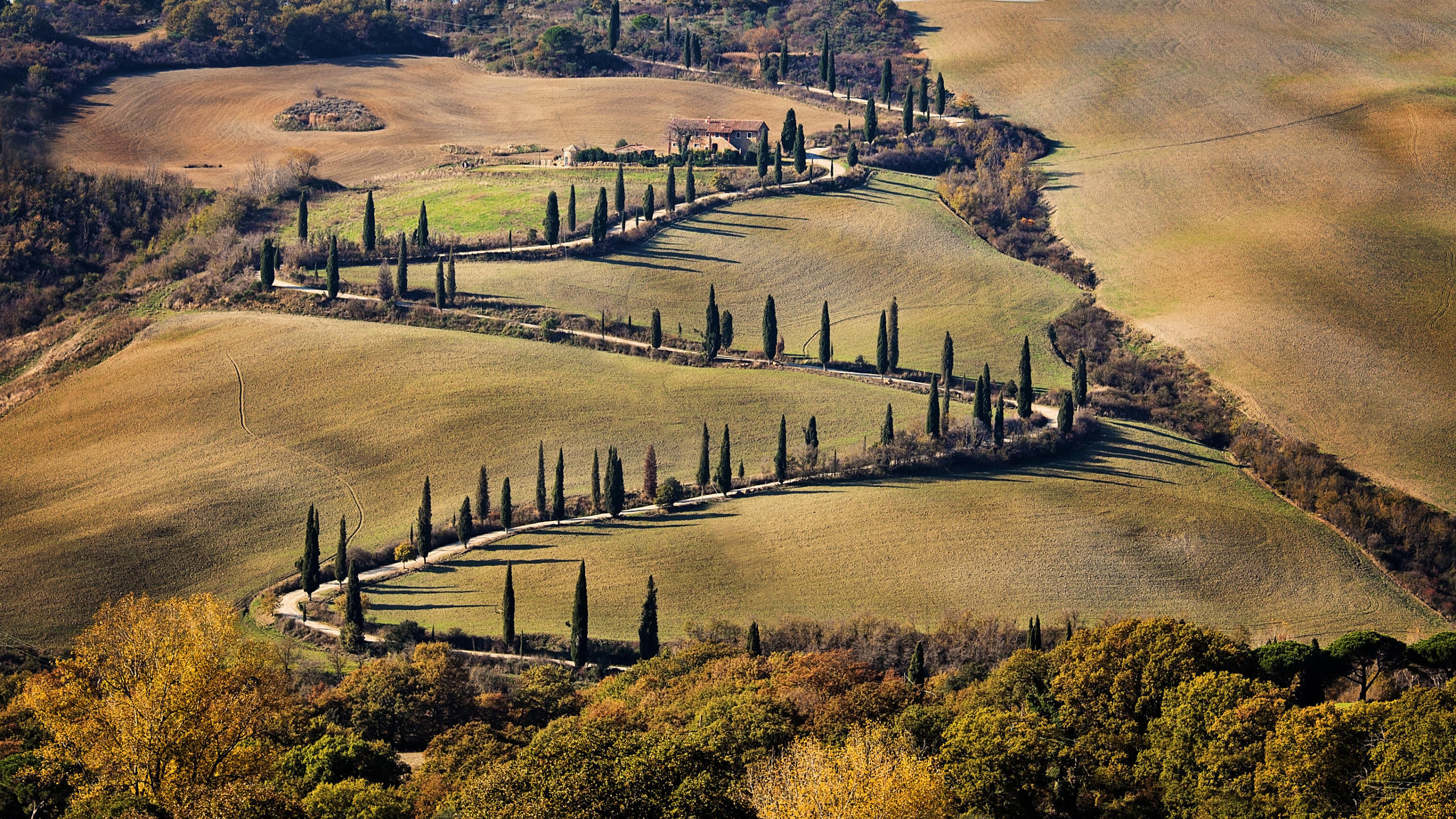 fall colors -Tuscany