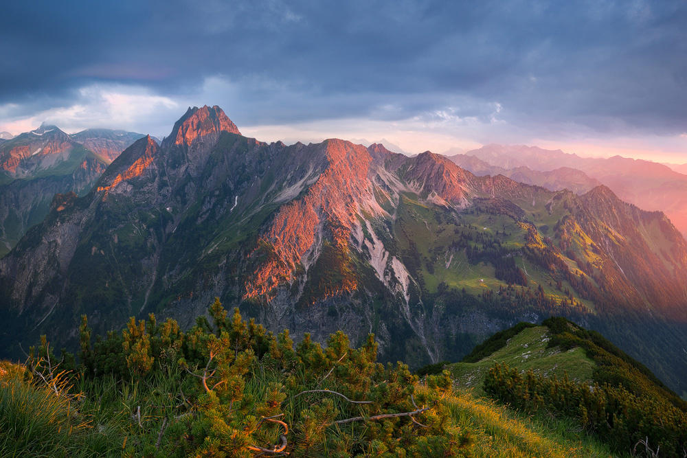 Queen of the Allgäu Alps